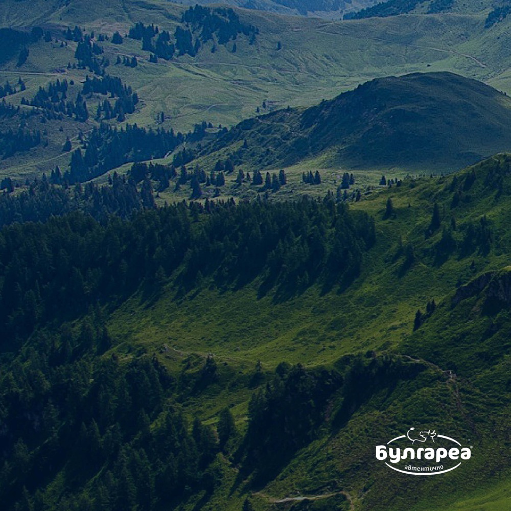 Bulgarea